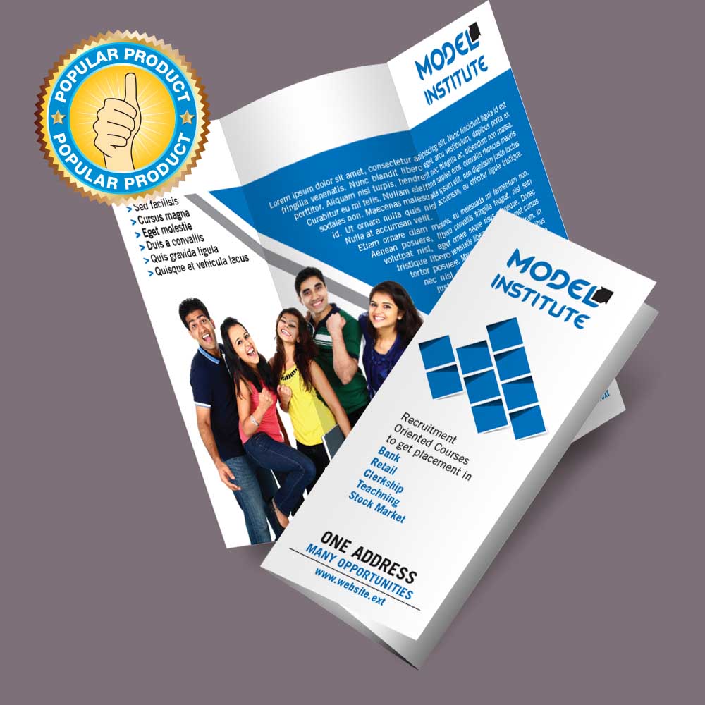 Sleek Brochure (2 Fold)